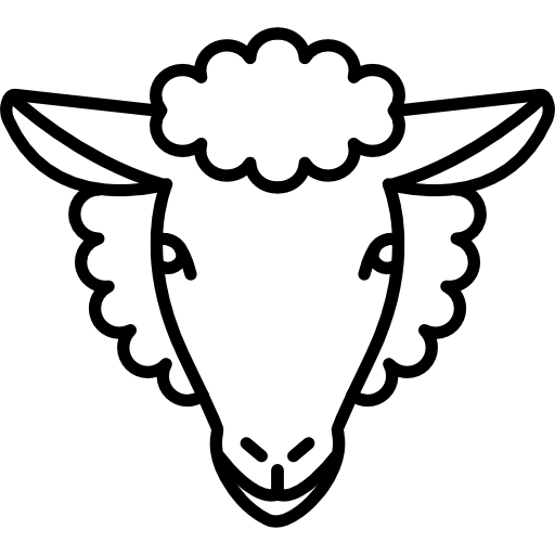 UdhiyahQurbani project of water wish