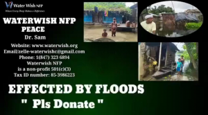 bihar_flood_waterwish